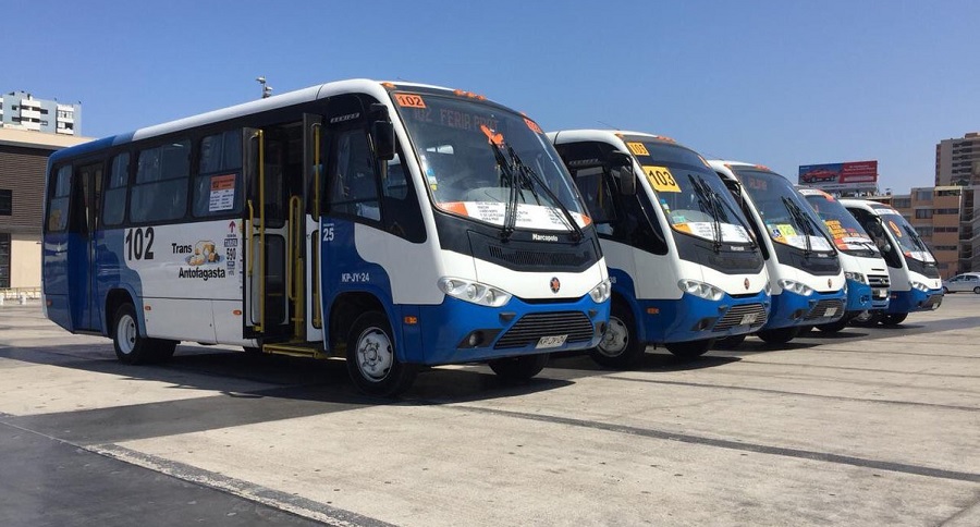 Continúa el conflicto: Contraloría ordena fundamentar adjudicación de buses eléctricos de TransAntofagasta