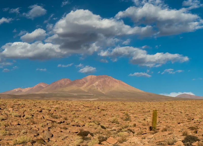 ¿Se puede pensar en cargadores para vehículos eléctricos en el desierto de Atacama?
