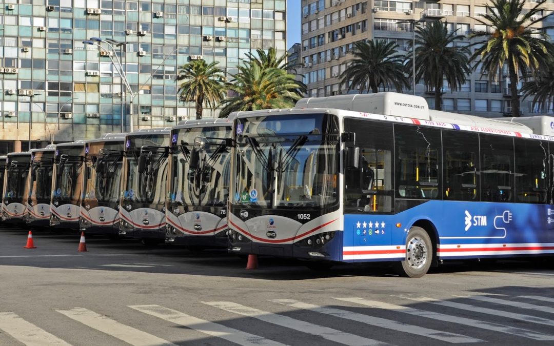 Uruguay da un paso adelante en el fideicomiso para buses eléctricos