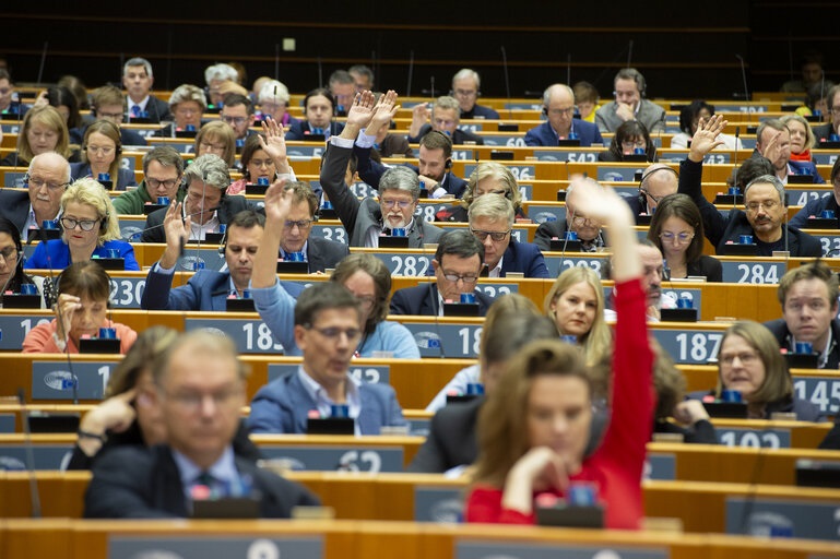 eurodiputados norma emisiones