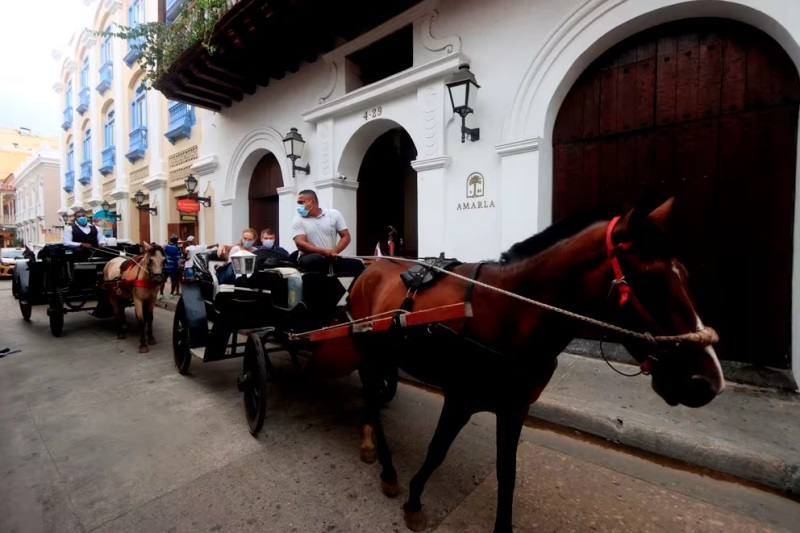 Centro histórico de Cartagena. Inicia el proceso para sustituir caballos por vehículos eléctricos