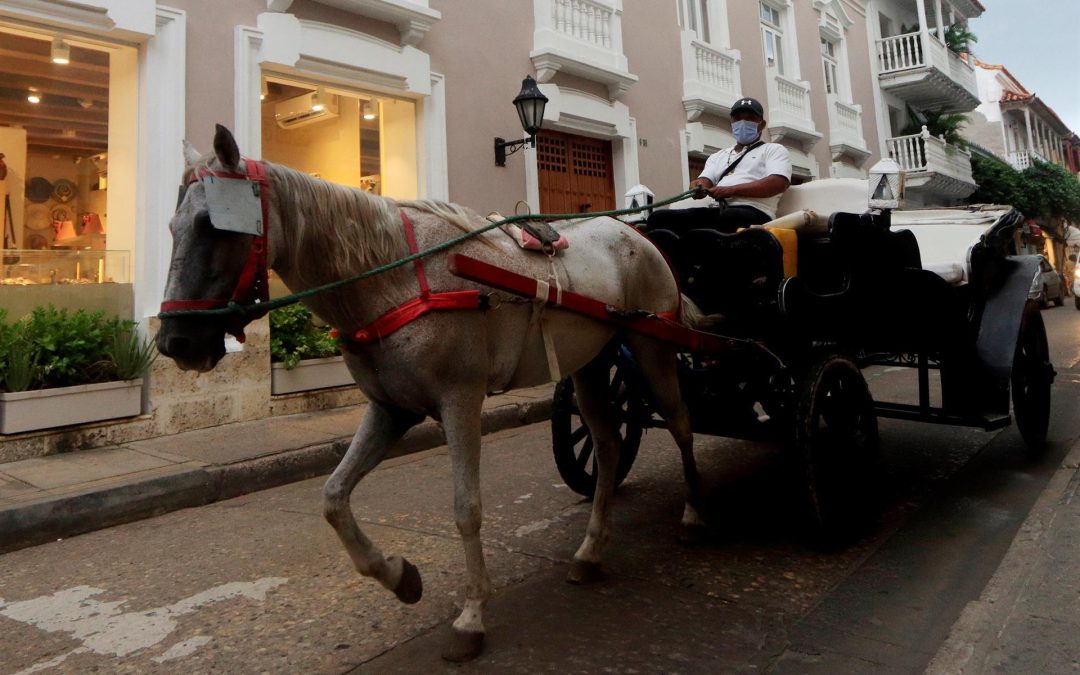 Más sostenible.  El plan de la Alcaldía de Cartagena para sustituir caballos por vehículos eléctricos